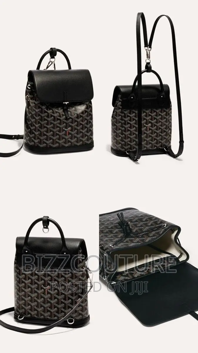 Original Goyard Backpack Available in Store
