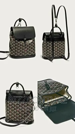 Original Goyard Backpack Available in Store