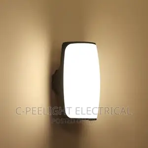LED Outdoor Light