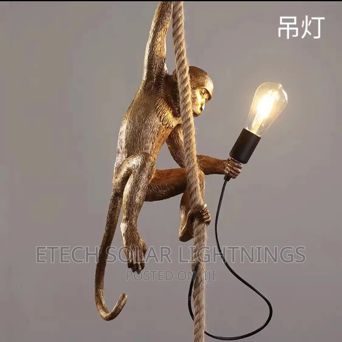 New Morden Monkey Design Dropping Light