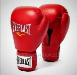 Everlast Boxing Gloves