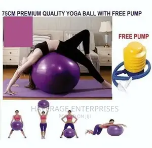 Standard Gym Balance Ball