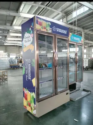 Snowsea Display Chiller