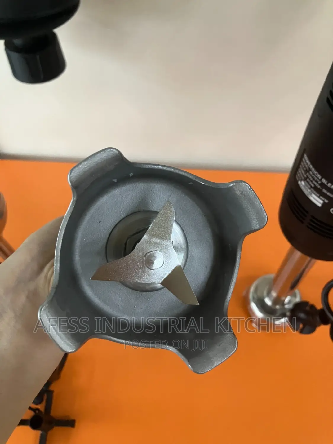 Immersion Blender/ Hand Blender