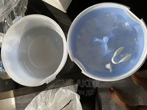 Microwave Steam Sterilizer