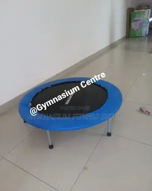 4ft Mini Trampoline Fcl