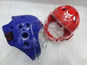 Takwando Guard With Facemask