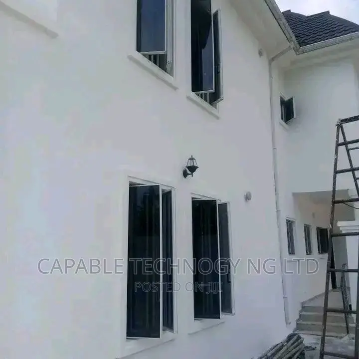 Transom Windows