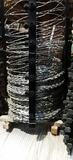 Electric Fence and Razor Barbed Wire