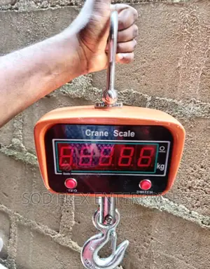 1,000kg Crane Heavy Duty Hanging Scale