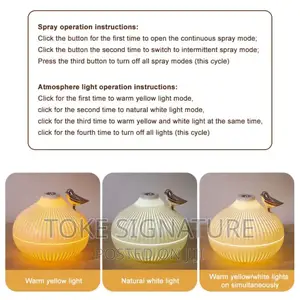 Onion Electronic Spray Diffuser.