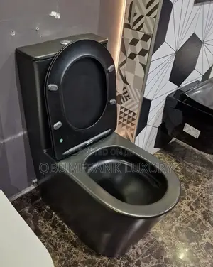 Black Toilet Seat