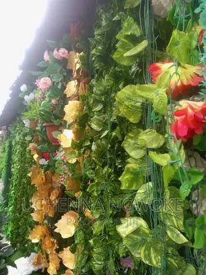 Original Creeping Flower