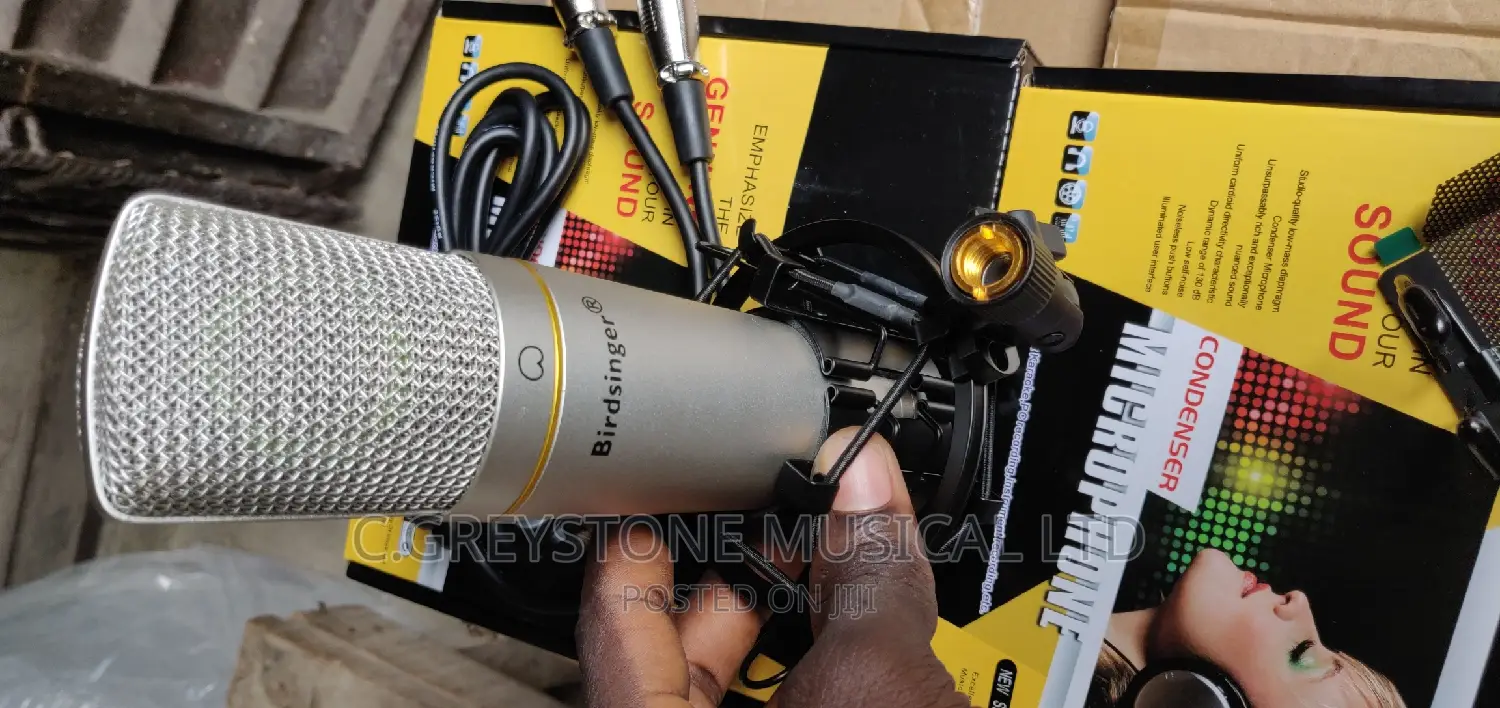 Birdsinger C1 Mic