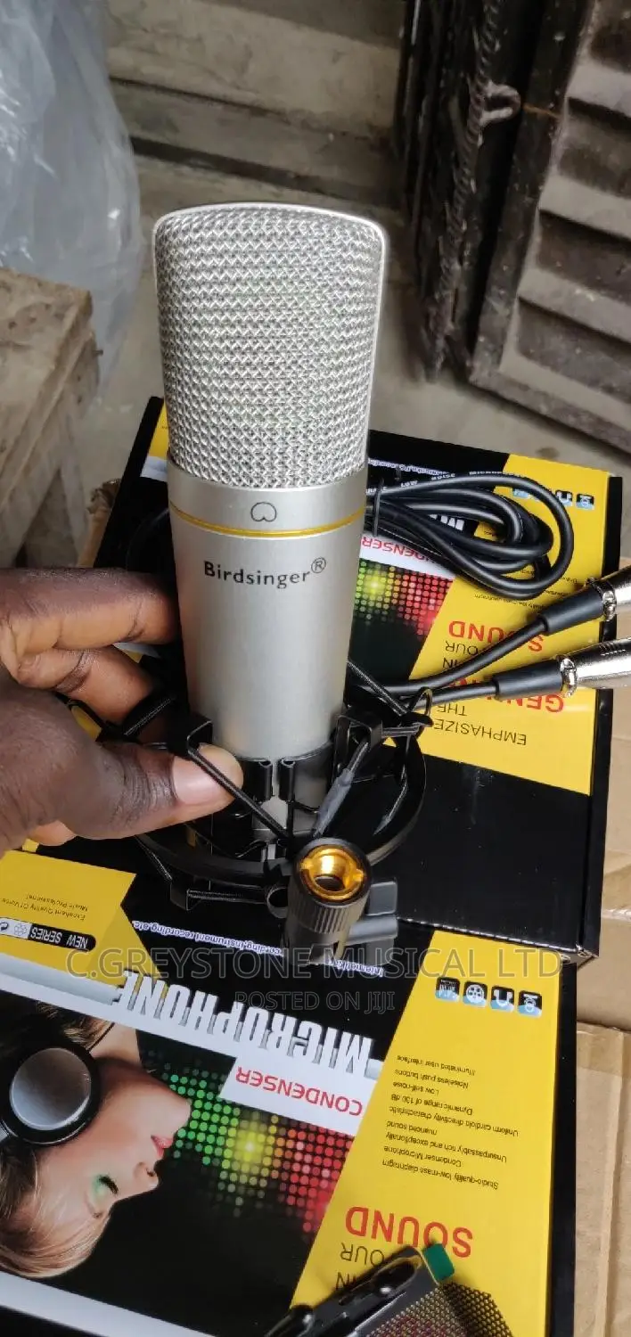 Birdsinger C1 Mic