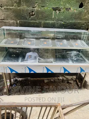 Food Warmer 5plate