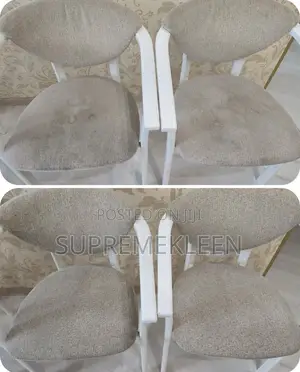 Sofa Shampoo Cleaning Service.