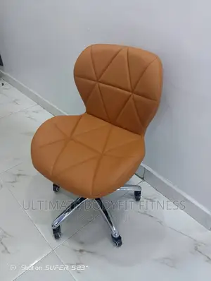 Brand New Spa Stool With Back Rest