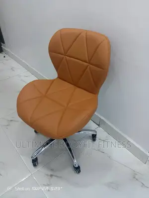 Brand New Spa Stool With Back Rest