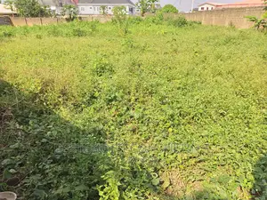 2 Plots of Land at Adeoyo Off Ring Road