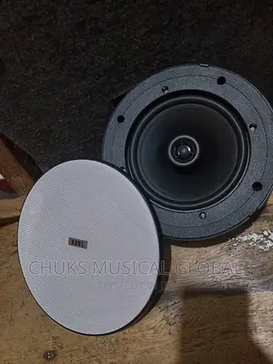 Dart Ceiling Speakers