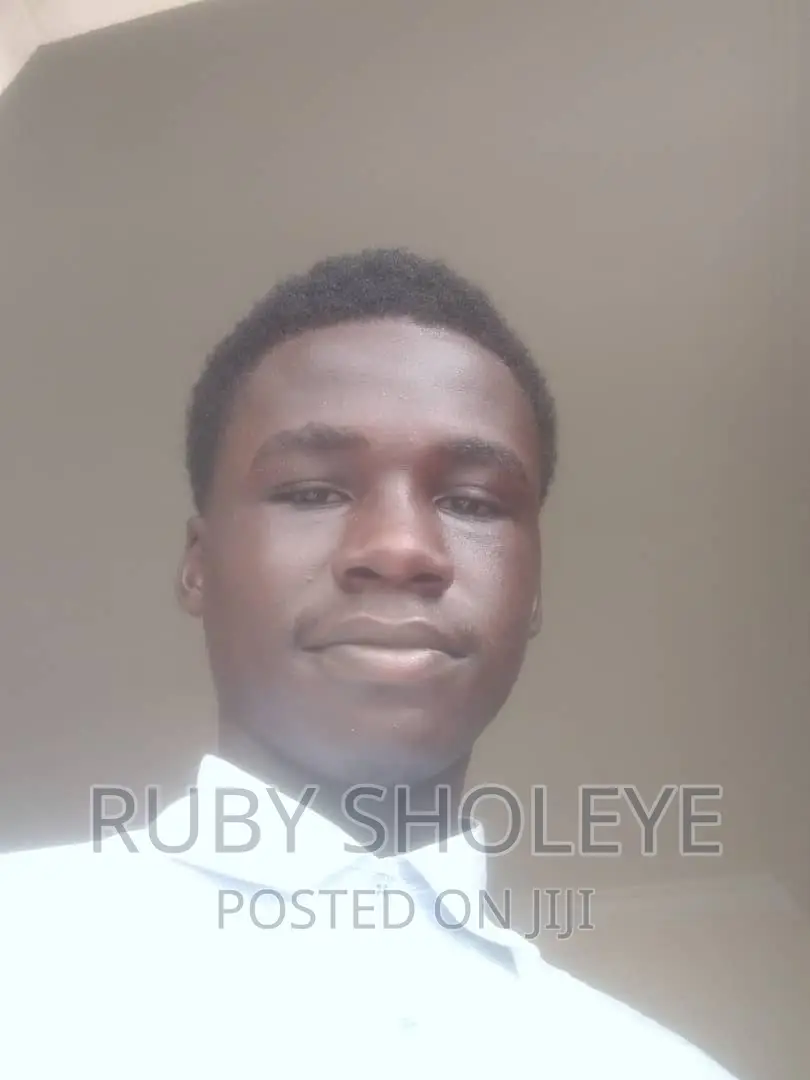 Web Developer