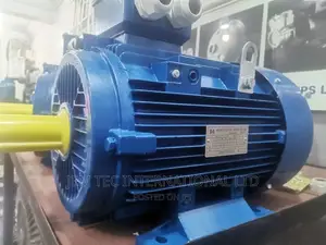 Electric Motor 30kw