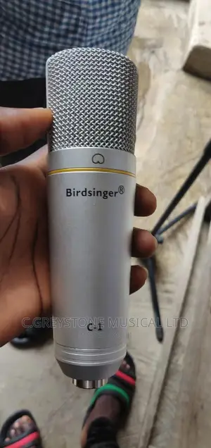 C-1 Studio Mic Birdsinger
