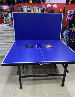 Haggai Outdoor SMC Table Tennis