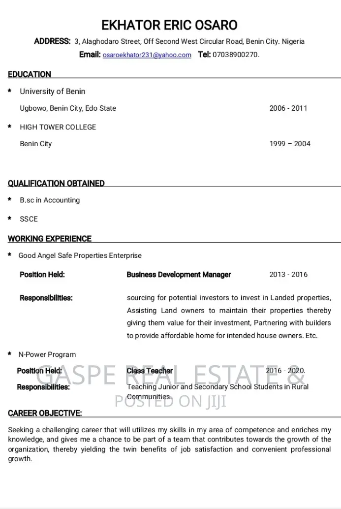 Teaching CV and Accounting
