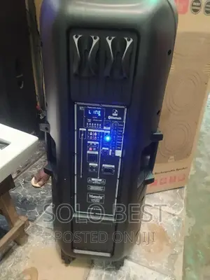 Double Pa System With USB