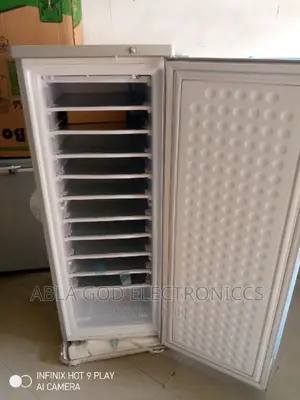 Bona Solar Dc Upright Freezer 198 Liters.