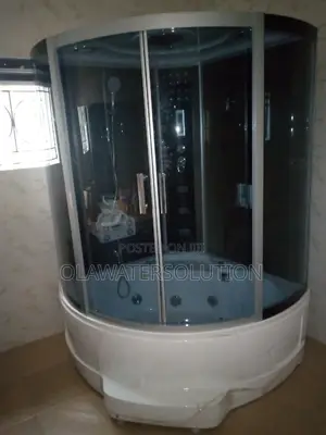 Professional Plumber