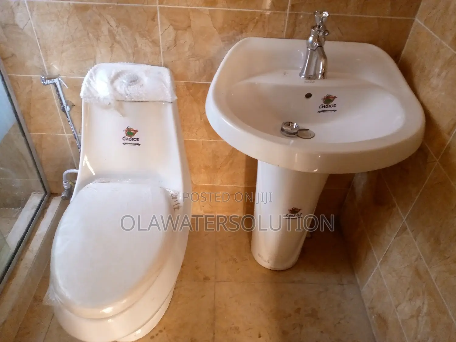 Professional Plumber