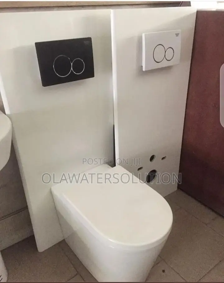 Professional Plumber