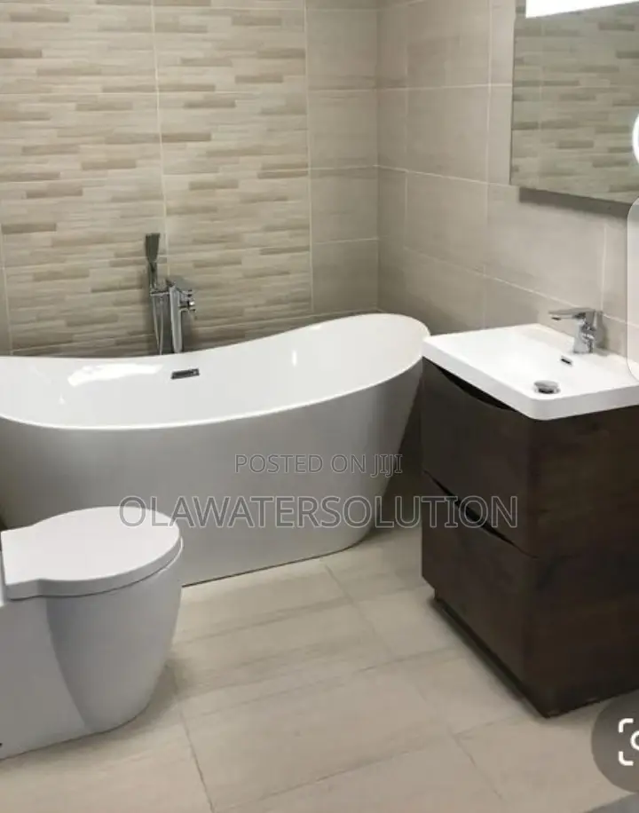 Professional Plumber