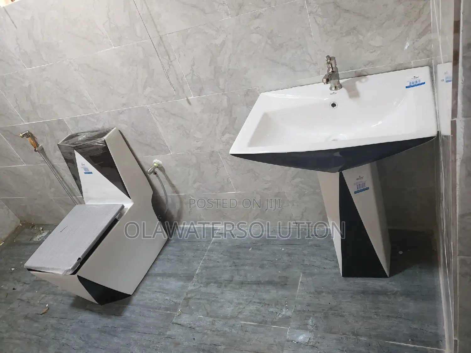 Professional Plumber