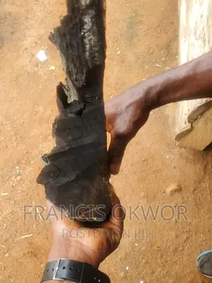 Black Ebony Wood for Sale