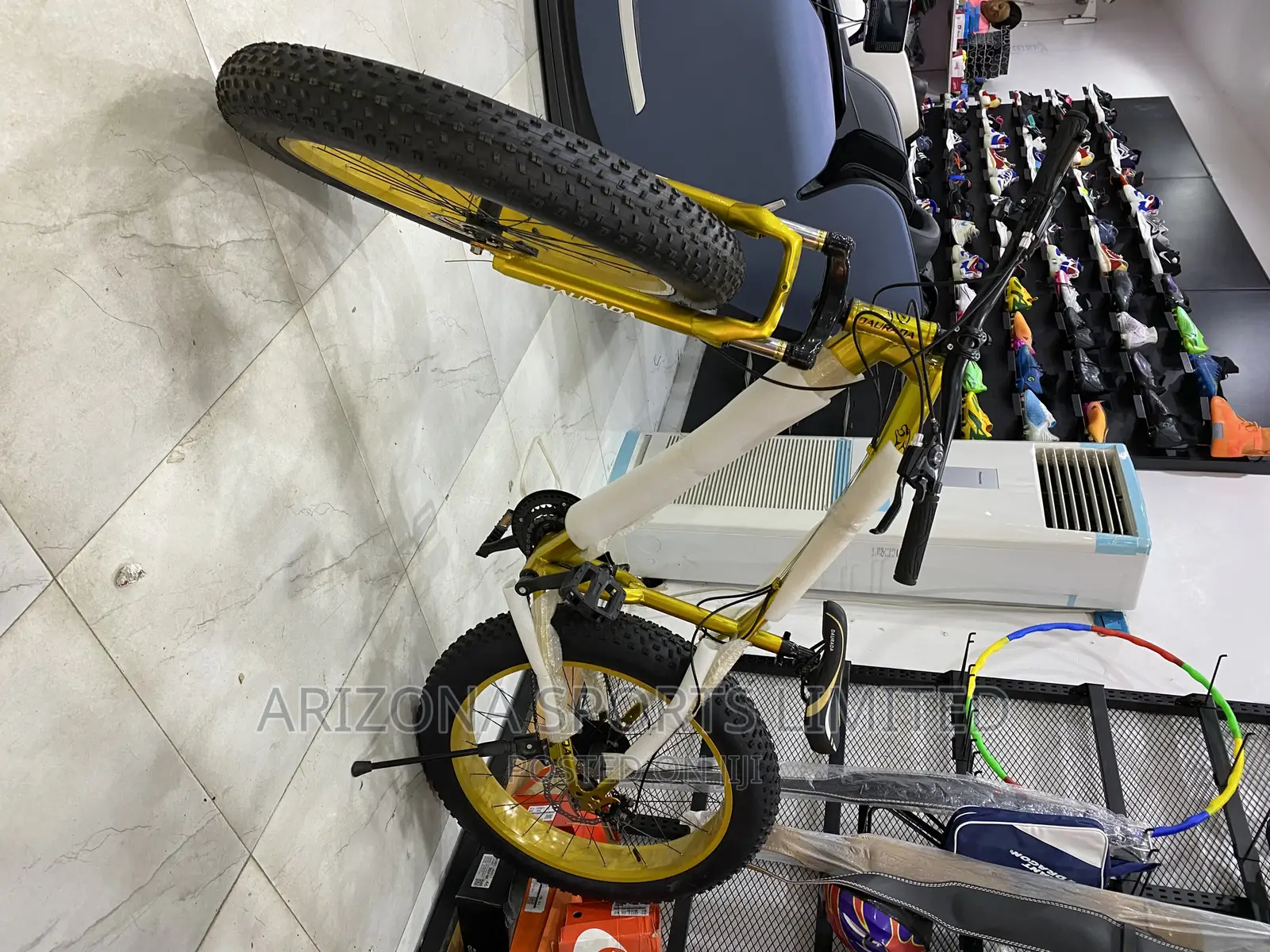 Big Tyre Cycling Bike
