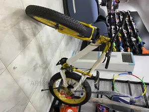 Big Tyre Cycling Bike