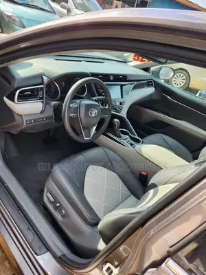 Toyota Camry XLE (2.5L 4cyl 8A) 2019 Gray