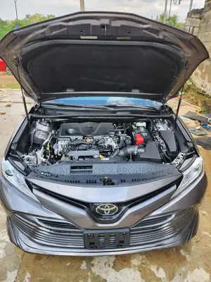 Toyota Camry XLE (2.5L 4cyl 8A) 2019 Gray