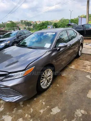 Toyota Camry XLE (2.5L 4cyl 8A) 2019 Gray
