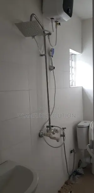 Professional Plumber