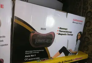 Car And Home Massage Pillow