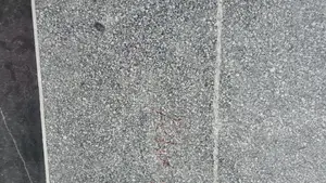 Granite Spotted Black for Kitchen Countertop and Staircase.