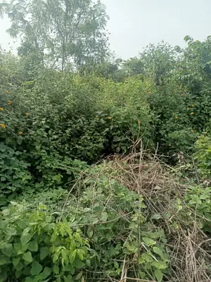 Photo - 9 Plots of Land for Residential at Aba-Oniapete-Akufo Rd. Ib