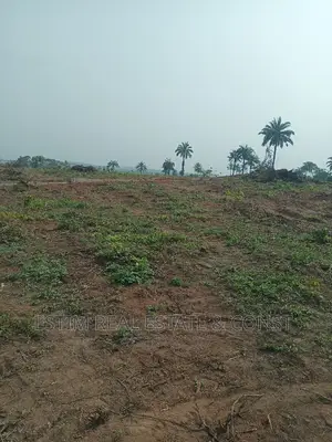 Photo - Plot of Land for Sale at Lamini, Apete-Akufo Road, Ido, Ib