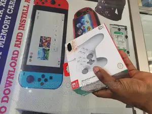 Nintendo Switch Customized Wired Controller.