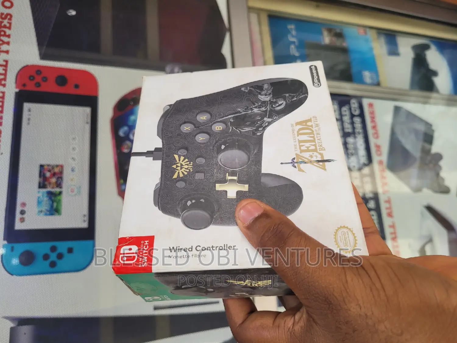 Nintendo Switch Customized Wired Controller